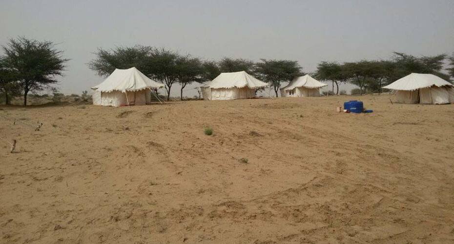 Wild Desert Resort, Bikaner 3